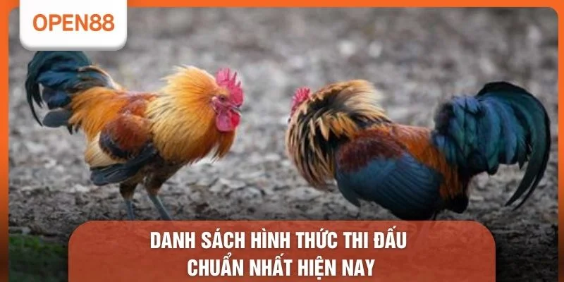 Danh sách hình thức thi đấu chuẩn nhất hiện nay