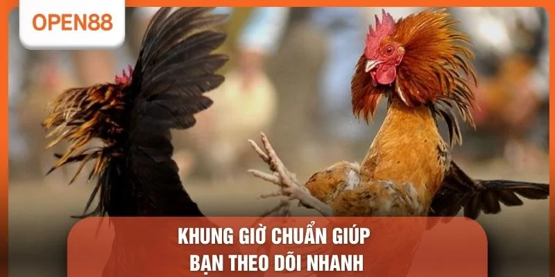 Khung giờ chuẩn giúp bạn theo dõi nhanh