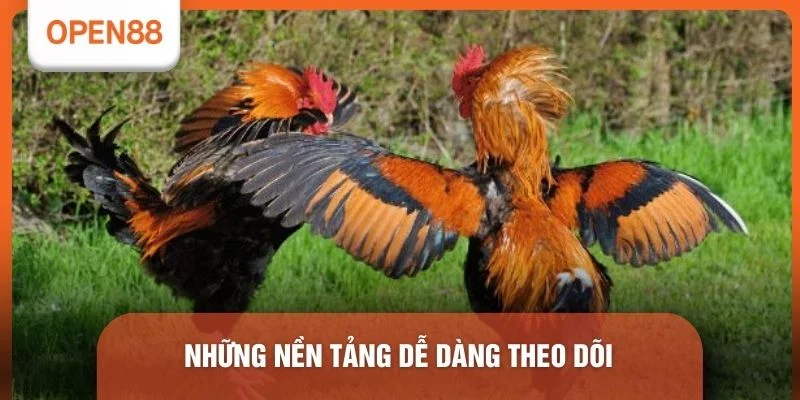 Những nền tảng dễ dàng theo dõi